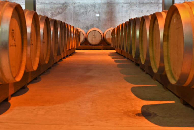 Viñedos de la Reina
