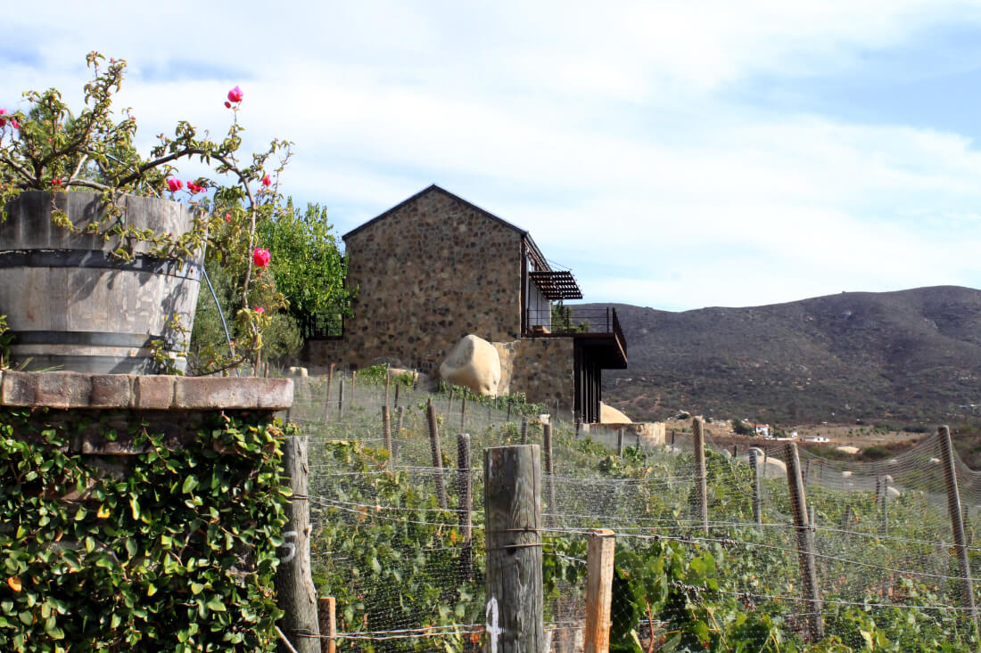 Viñas de Garza